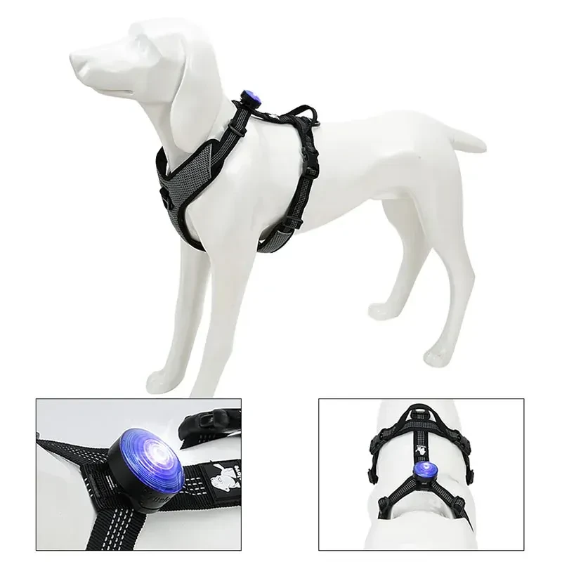 Dog anti-lost night light