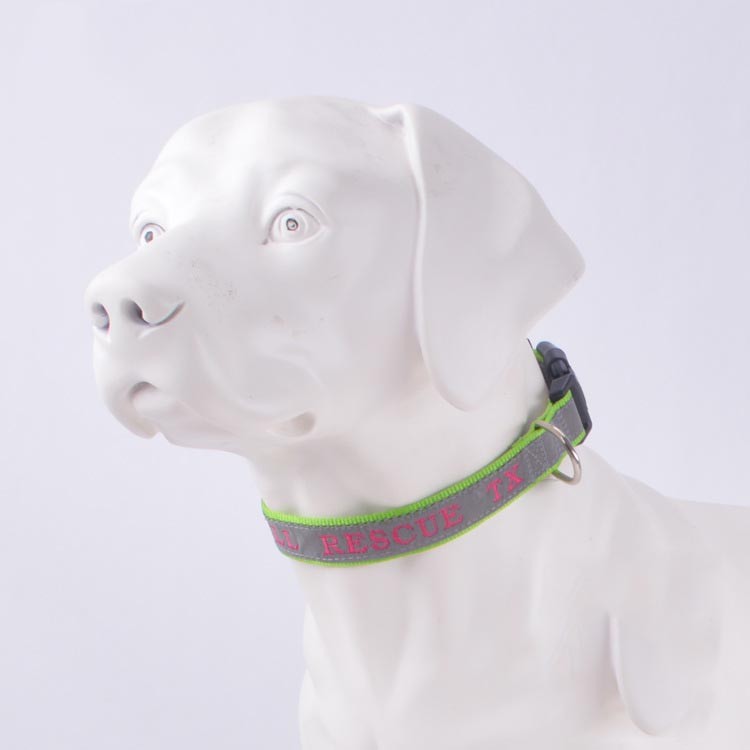 Dog Collar with Phone Number