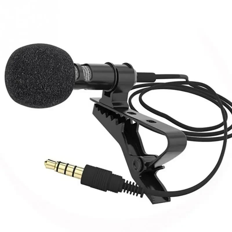 Portable Microphone