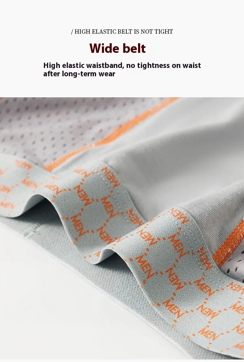 Men's Boxers Transparent Mesh Shorts