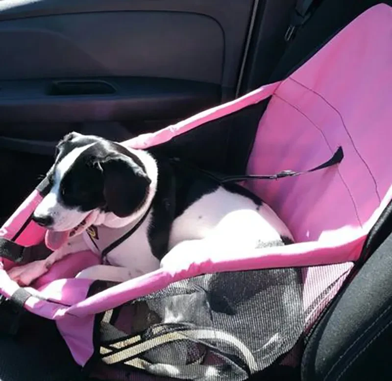 Waterproof Dog Carrier Seat Long Journeys