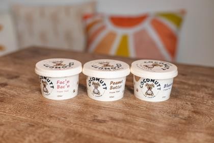 Ice Cream Blueberry For Dogs